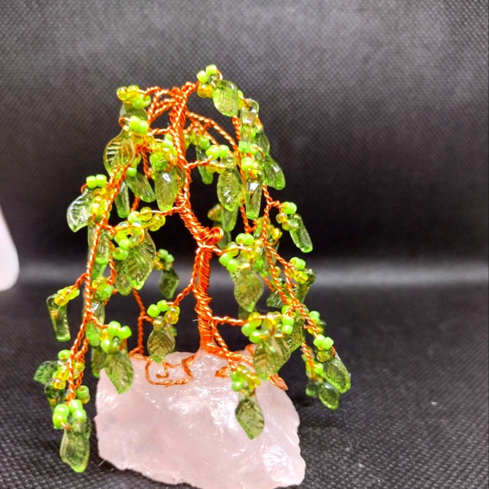 small lucky willow tree